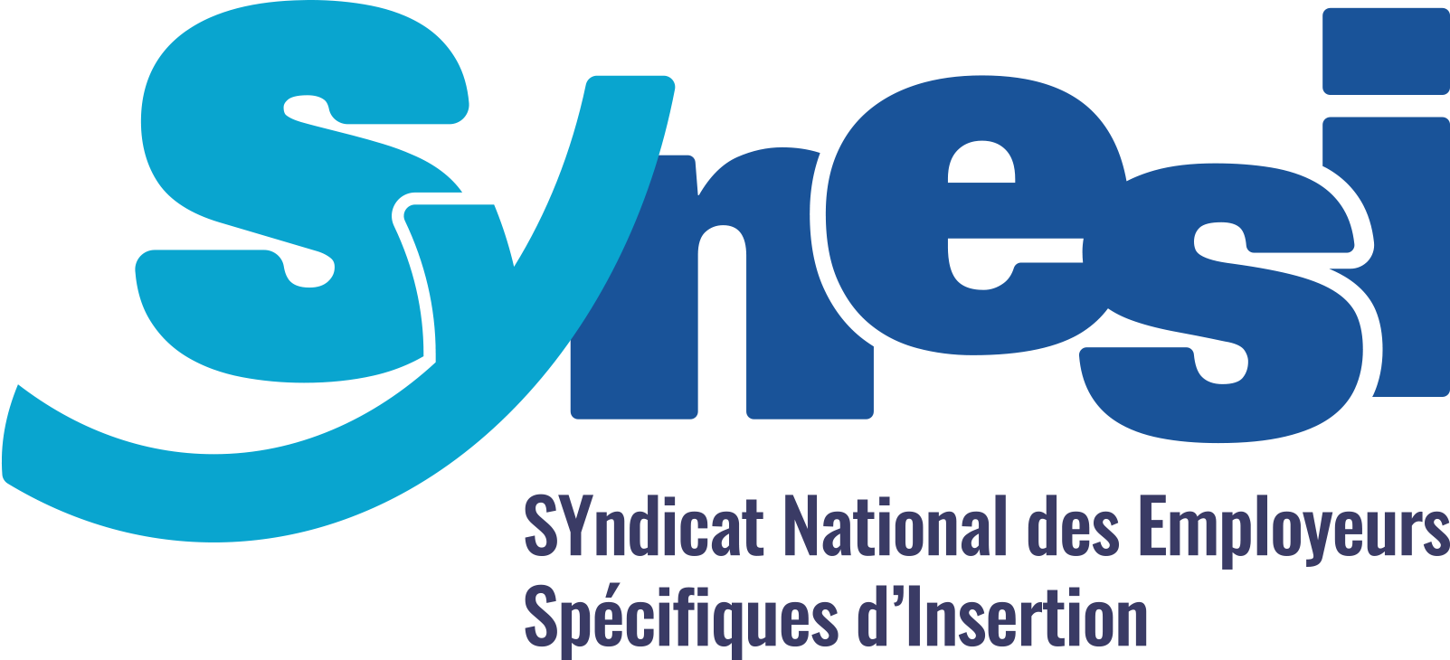 SyNESI